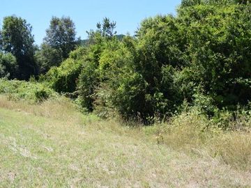 Parcela en venta en VILLARRICA