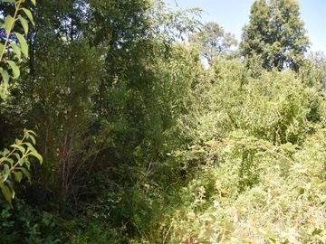 Parcela en venta en VILLARRICA