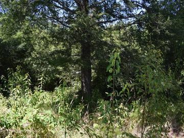 Parcela en venta en VILLARRICA