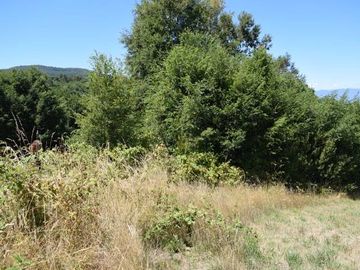 Parcela en venta en VILLARRICA