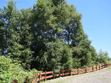 Parcela en venta en VILLARRICA