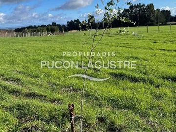 Parcela en venta en FREIRE