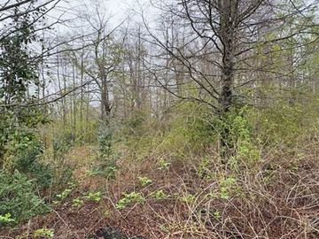 Parcela en Venta en loncotraro alto