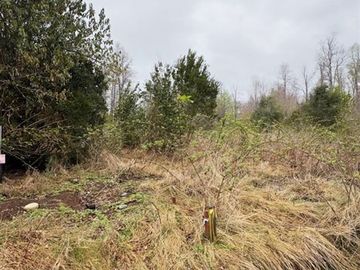 Parcela en Venta en loncotraro alto