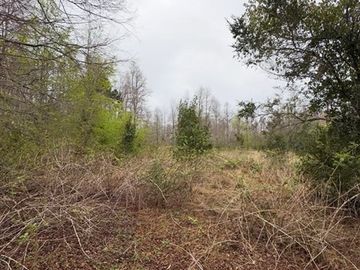 Parcela en Venta en loncotraro alto