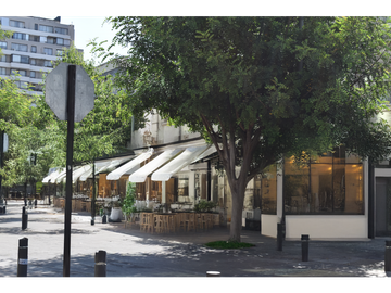 Placa comercial arrendada en venta inversión