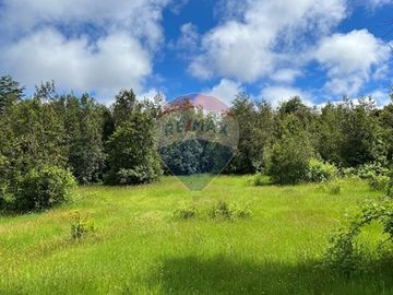 Parcela Villarrica - LicanRay