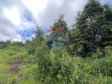 Parcela Villarrica - LicanRay