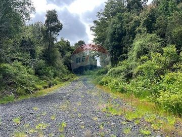 Parcela Villarrica - LicanRay