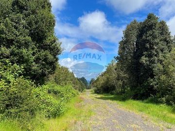 Parcela Villarrica - LicanRay