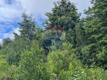 Parcela Villarrica - LicanRay