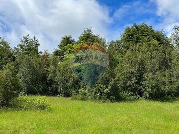 Parcela Villarrica - LicanRay