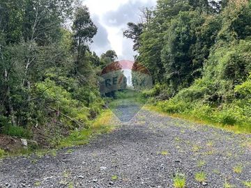 Parcela Villarrica - LicanRay