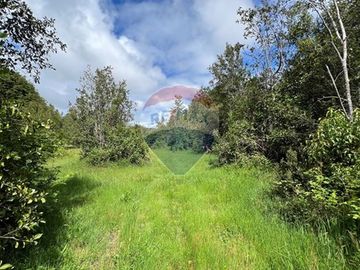 Parcela Villarrica - LicanRay