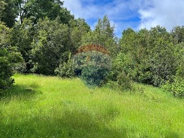 Parcela Villarrica - LicanRay