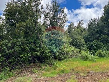 Parcela Villarrica - LicanRay