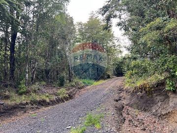 Parcela Villarrica - LicanRay