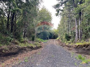 Parcela Villarrica - LicanRay