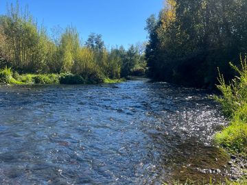VENTA PARCELA 5000MTS Villarrica