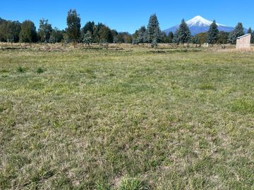 VENTA PARCELA 5000MTS Villarrica