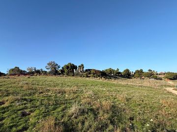 Renta terreno 7217 m2