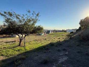Renta terreno 7217 m2