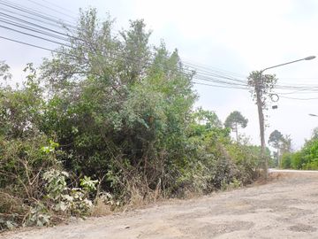 1704 sqw Land Plot in East Pattaya