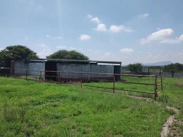 Finca - Pueblo San Antonio La D