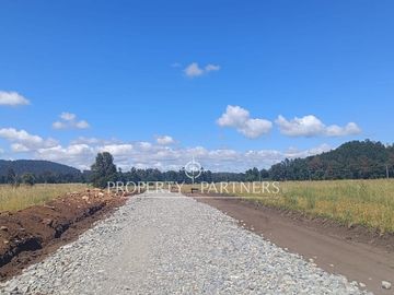Parcelas Panguipulli con Lindas Praderas  vista Volcán.