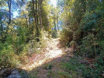 Exclusivo terreno con mas de 170 mt de orilla de río Fuy