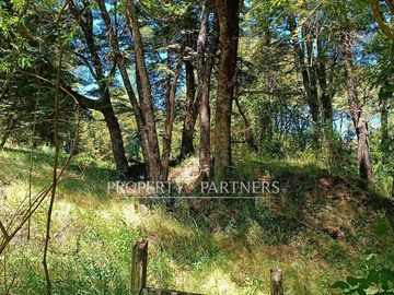 Exclusivo terreno con mas de 170 mt de orilla de río Fuy