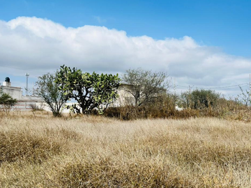 Terreno en Venta en col. Adolfo Lopez Mateos Tequisquiapan | Salvia rusa