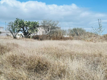 Terreno en Venta en col. Adolfo Lopez Mateos Tequisquiapan | Salvia rusa