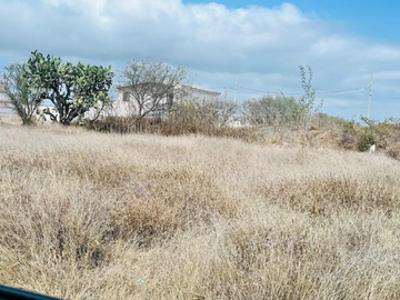 Terreno en Venta en col. Adolfo Lopez Mateos Tequisquiapan | Salvia rusa