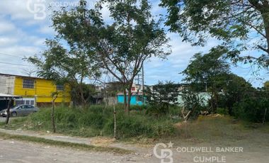 TERRENO EN VENTA COLONIA 2 CAMINOS