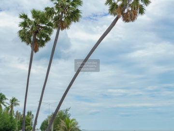 FOR SELL Pool Villa Thongsuk Pool Villa Pranburi  CX-145396