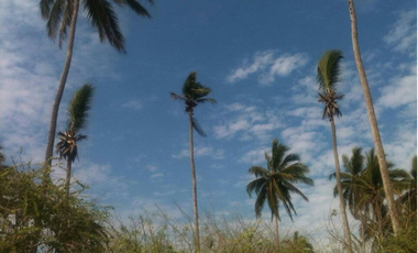INVERSION EN PLAYA RIVIERA NAYARIT