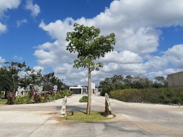 TERRENO EN VENTA MERIDA PRIVADA RESIDENCIAL TAMORA CONKAL