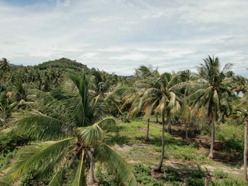 Land for sale in Taling Ngam, Surat Thani