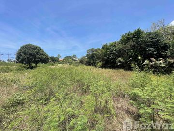 Land for sale in Bo Phut, Surat Thani