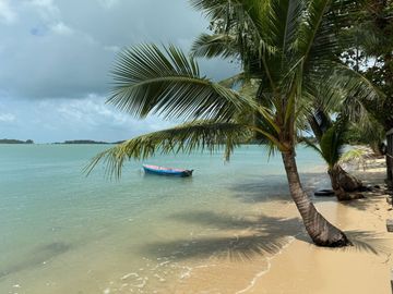 Land for sale in Bo Phut, Surat Thani
