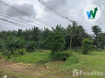 Land for sale in Tanot Duan, Phatthalung