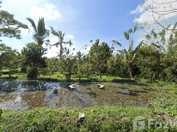 Land for sale in Tegallalang, Bali