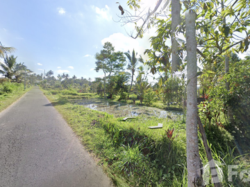 Land for sale in Tegallalang, Bali