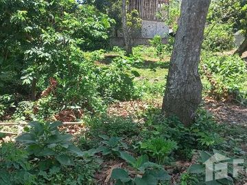 Land for sale in Pecatu, Bali