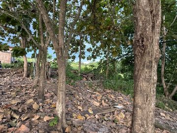 Land for sale in Kediri, Bali