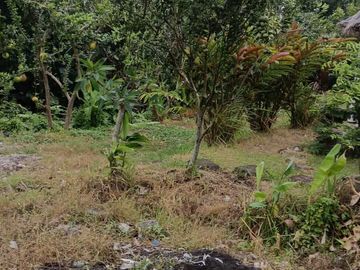 Land for sale in Kaba Kaba, Bali