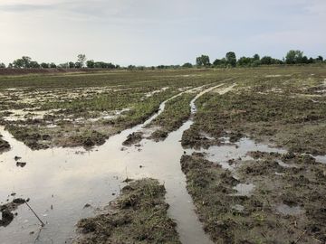 Land for sale in Bang Decha, Prachin Buri
