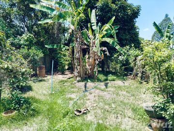 4 Bedroom House for sale in Tha Sap, Yala