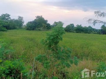 Land for sale in Sak Lek, Phichit